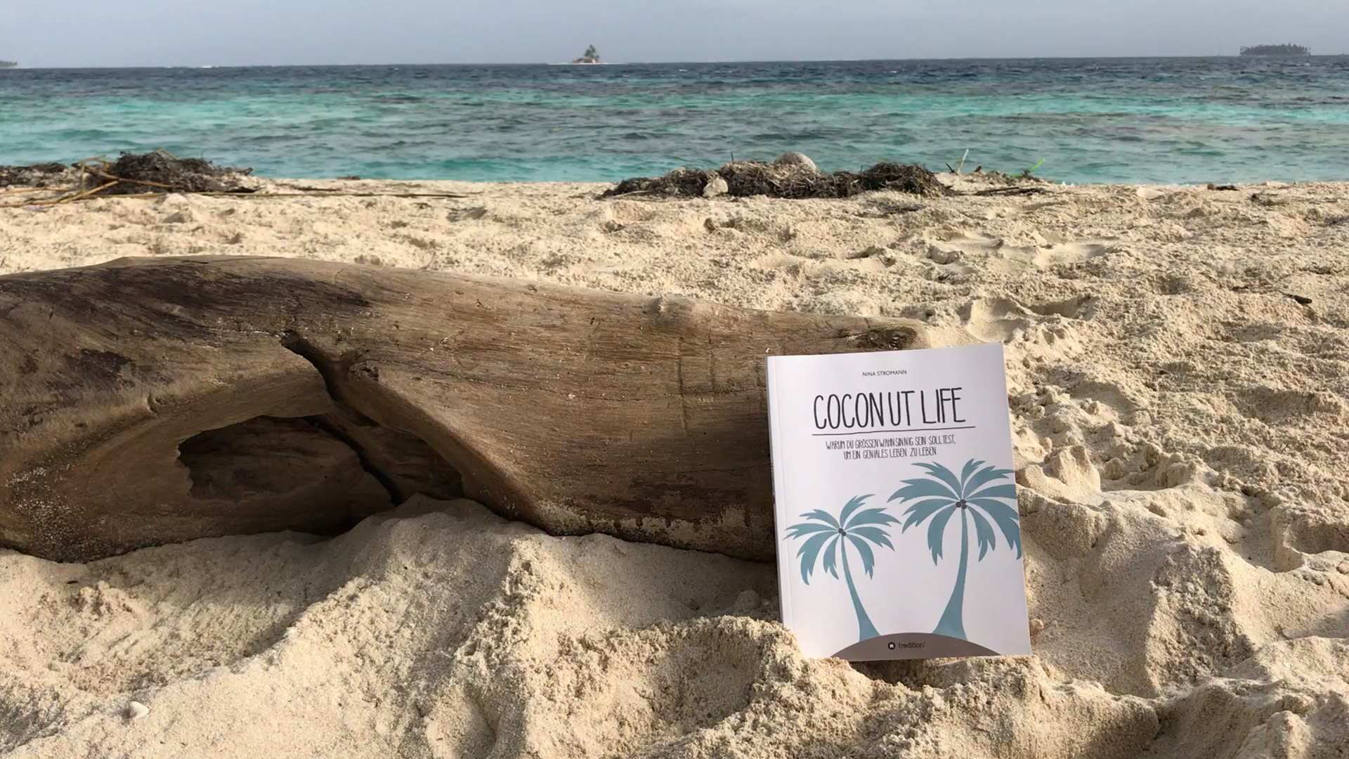 Coconut Life Buch Amazon Bestseller