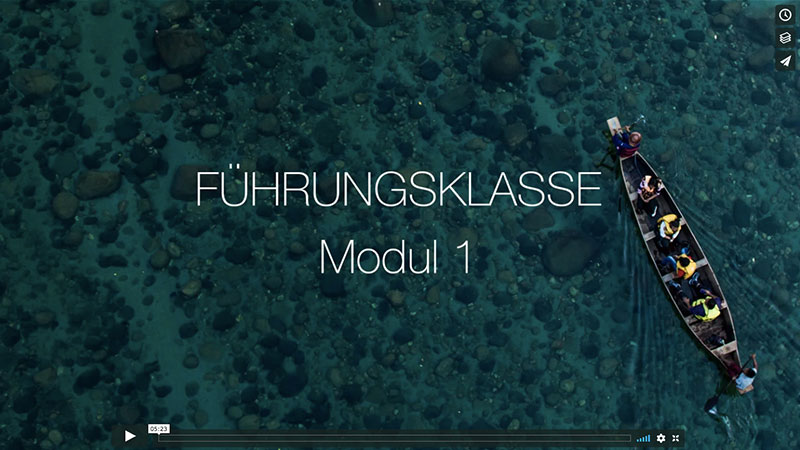 Führungskräftetraining per Video